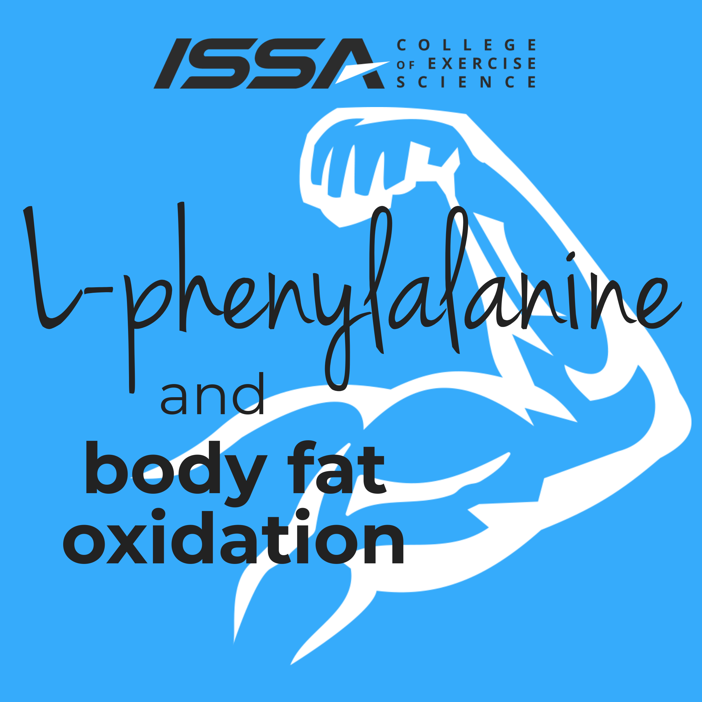 19-0827_l-phenylalanine-1