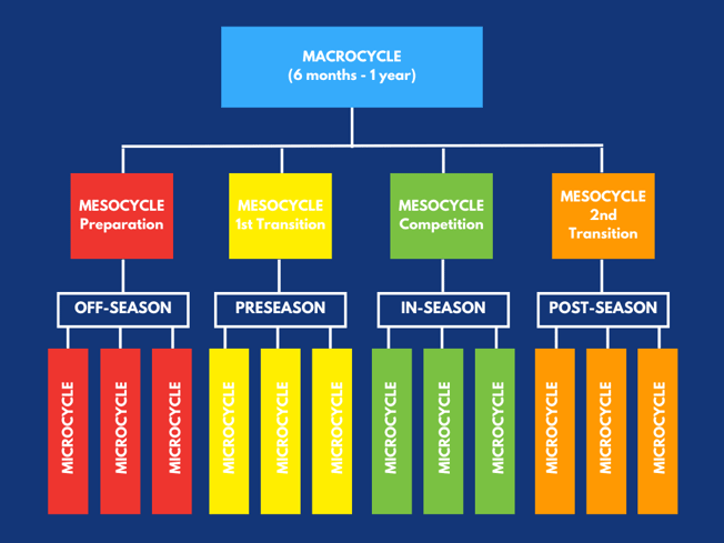 Copy of Periodization Cycles